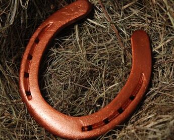Horseshoe as the great talisman of fate