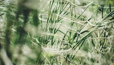 How to make a good luck charm with your own hands